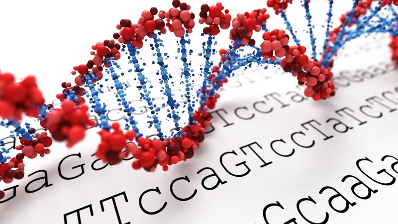 Global Direct-to-Consumer Genetic Testing Market to Set Phenomenal Growth from 2019 to&nbsp;2023