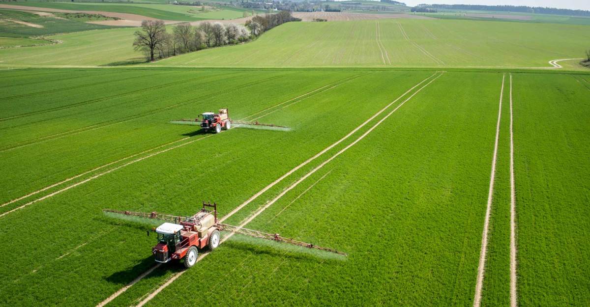 Rice Market Investigation Reveals Enhanced Growth during the forecast Period,&nbsp;2019-2028