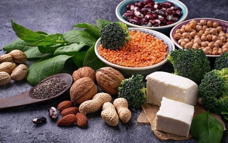 Plant Protein Market 2019- 2028 Upcoming Trends, Analysis,&nbsp;Forecast