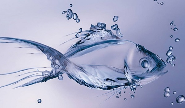 Fish Collagen PowdeR Market Climb Sharply With High Revenue From&nbsp;2019-28