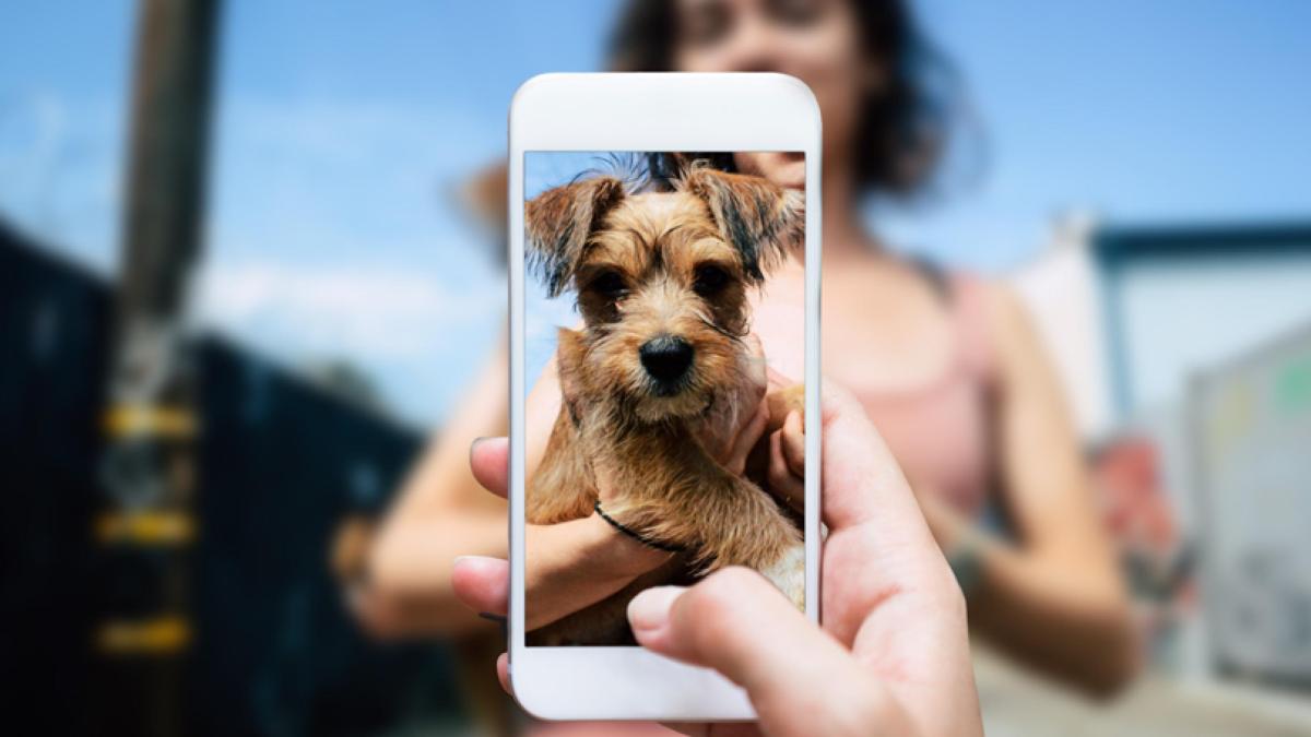 Global Computational Photography Camera Market 2019 with Emerging Trends & Forecast To&nbsp;2023