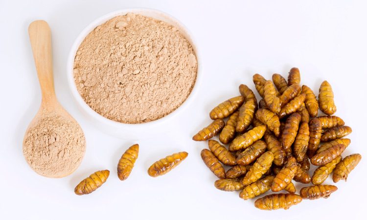 Insect Protein Market Rising Health Benefits, Demand, Long-term Opportunities From&nbsp;2020