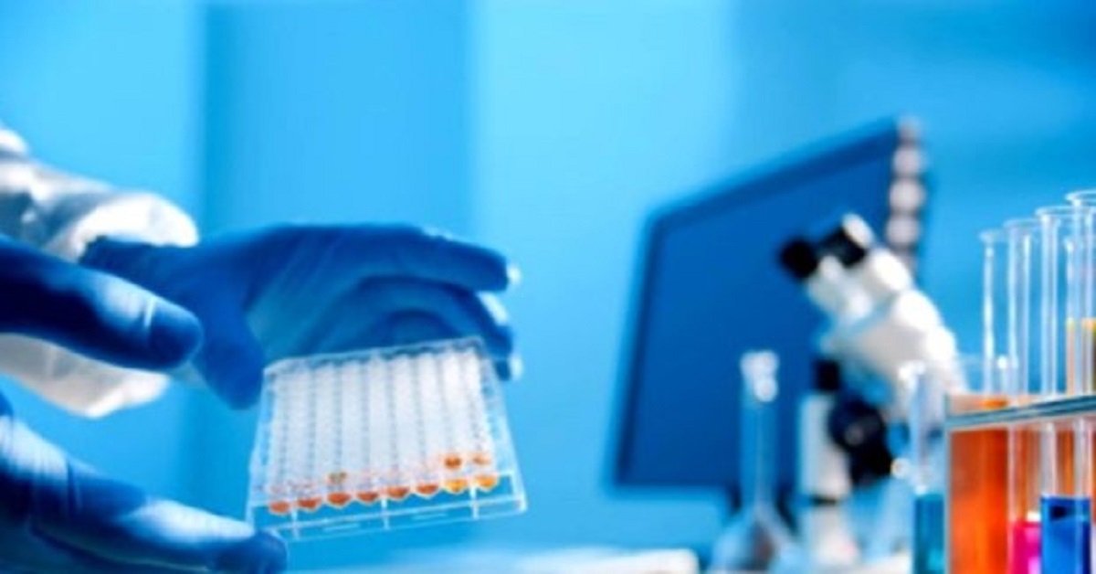 Protein Purification And Isolation Market Global Size, Growth Dynamics, Share Estimation, Top Key Profilers, Trends Analysis, Business Insights By&nbsp;2020