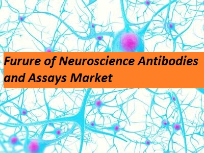 Future of Neuroscience Antibodies and Assays Industry 2020 in Medical&nbsp;Treatment