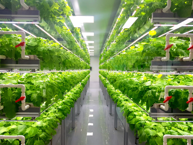 Vertical Farming Market Growth, AI Technology,  Regional Analysis and Forecasts by&nbsp;2023