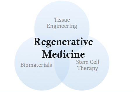 Regenerative Medicine Market to Witness Swift Growth Throughout&nbsp;Covid-19