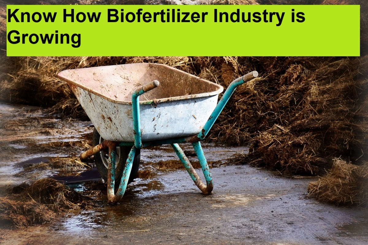 Global Biofertilizer Market Growth Analysis, Business Opportunities, Future Scope and Forecast To&nbsp;2028