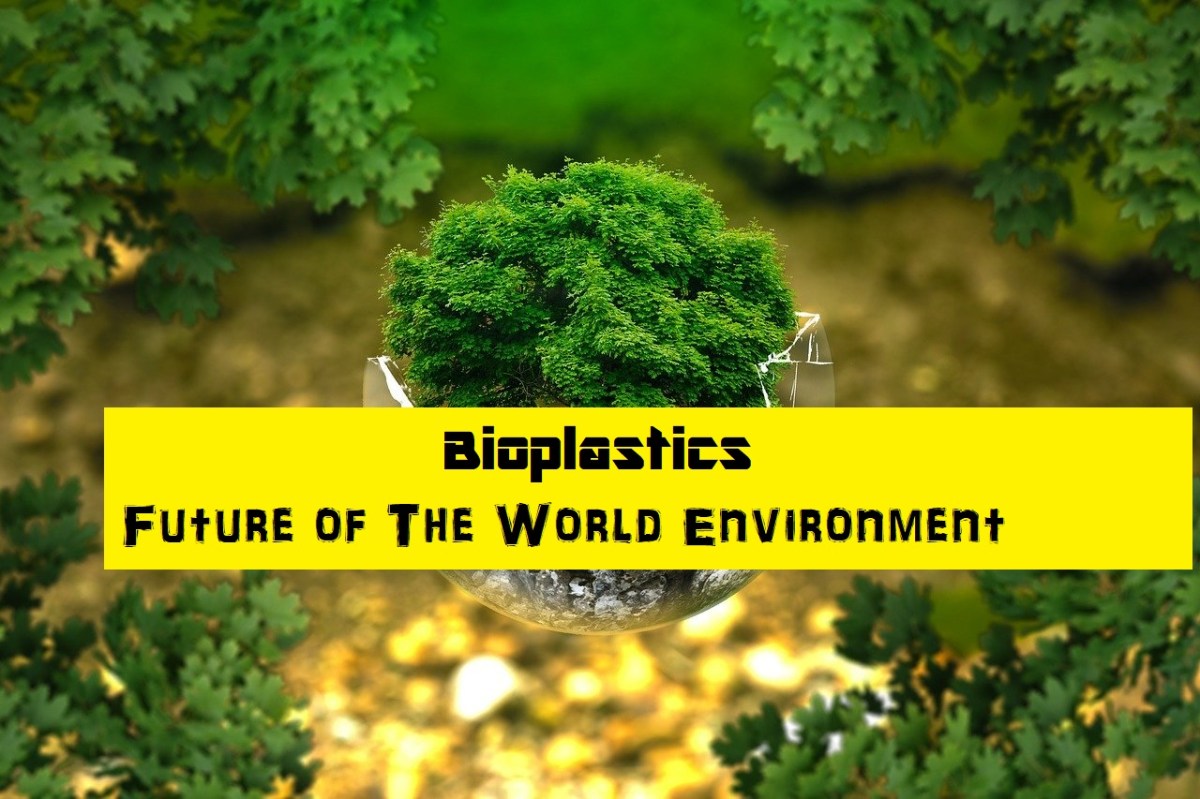 Bioplastics Market Growing Demand, Coronavirus impact, Size, Share &&nbsp;Future