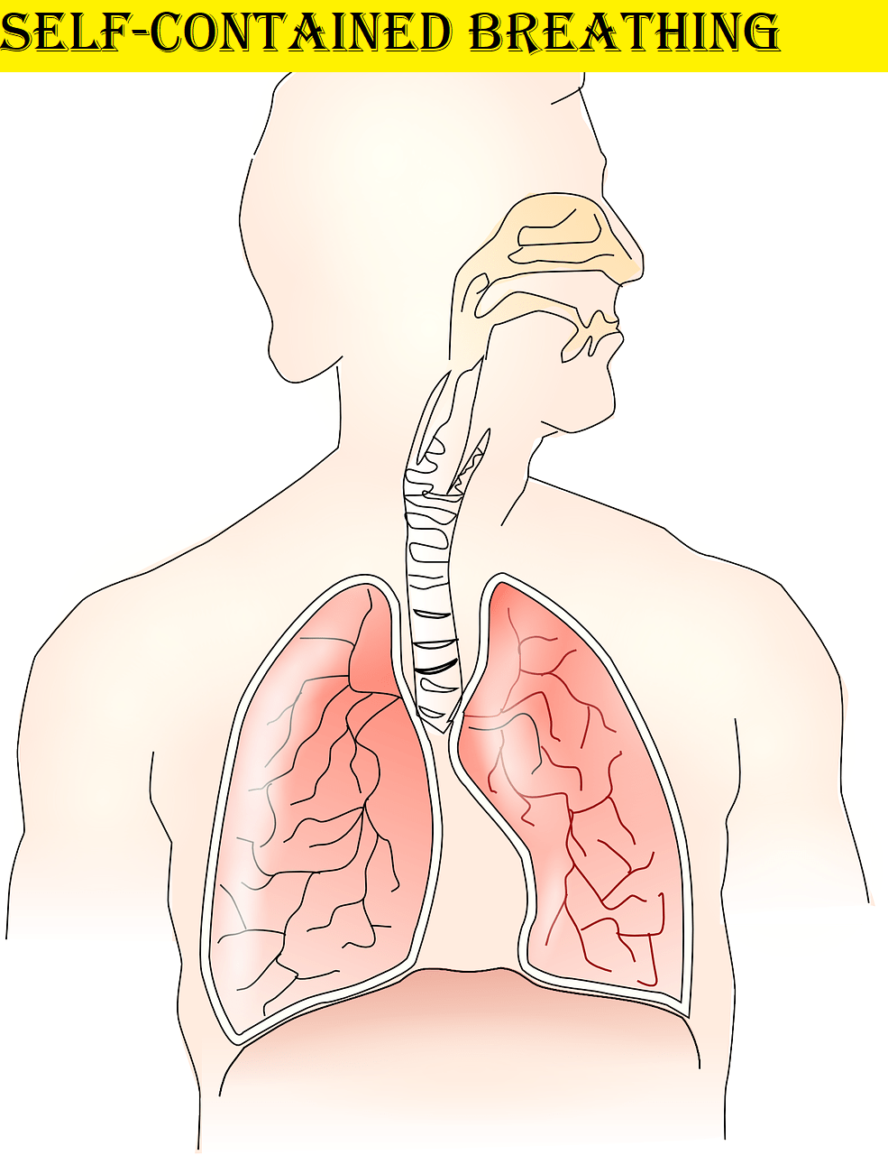 Global Self-contained Breathing Apparatus Market Analysis and Trends 2020 and Forecast to&nbsp;2023