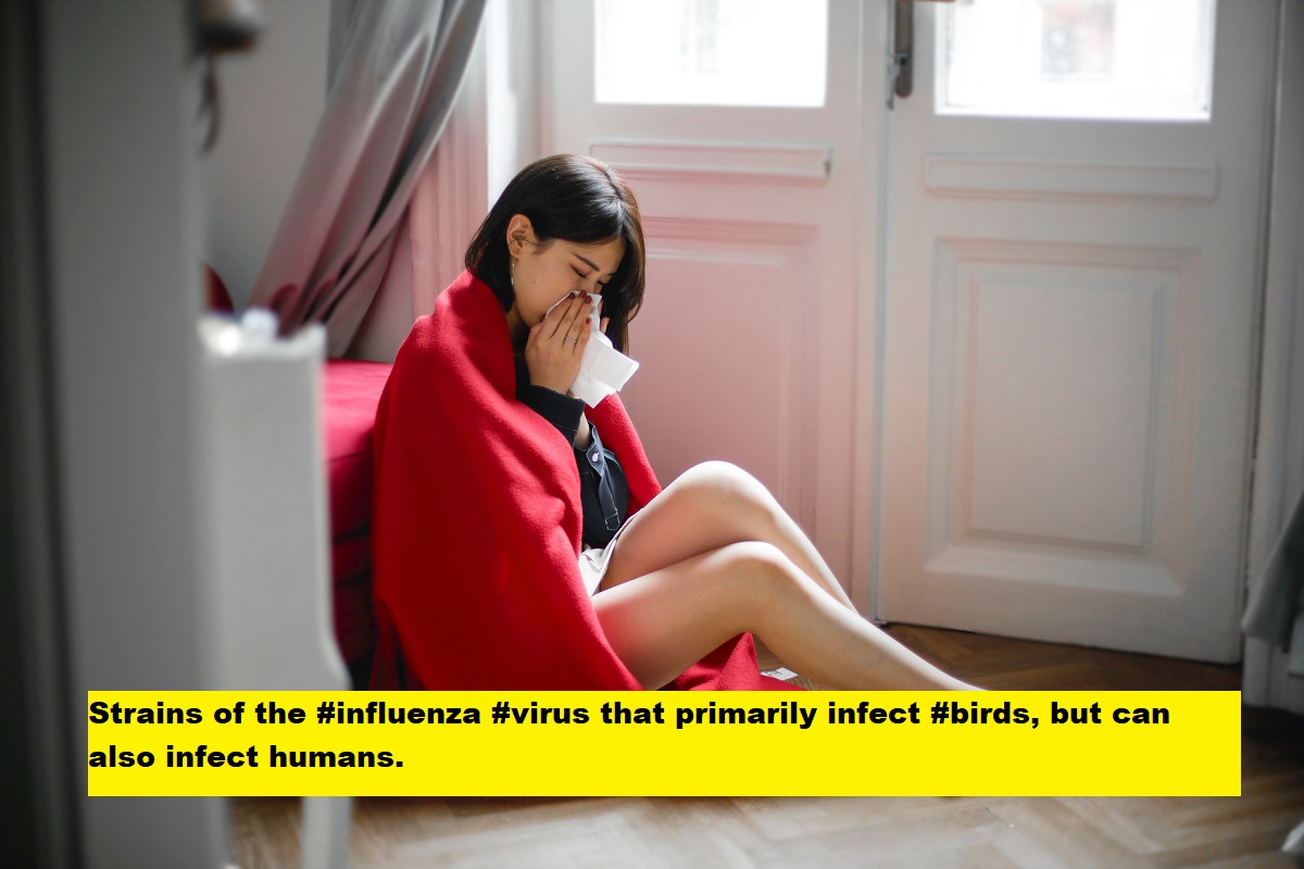 Avian Flu Treatment Market Application & Region Specific Demand&nbsp;2020